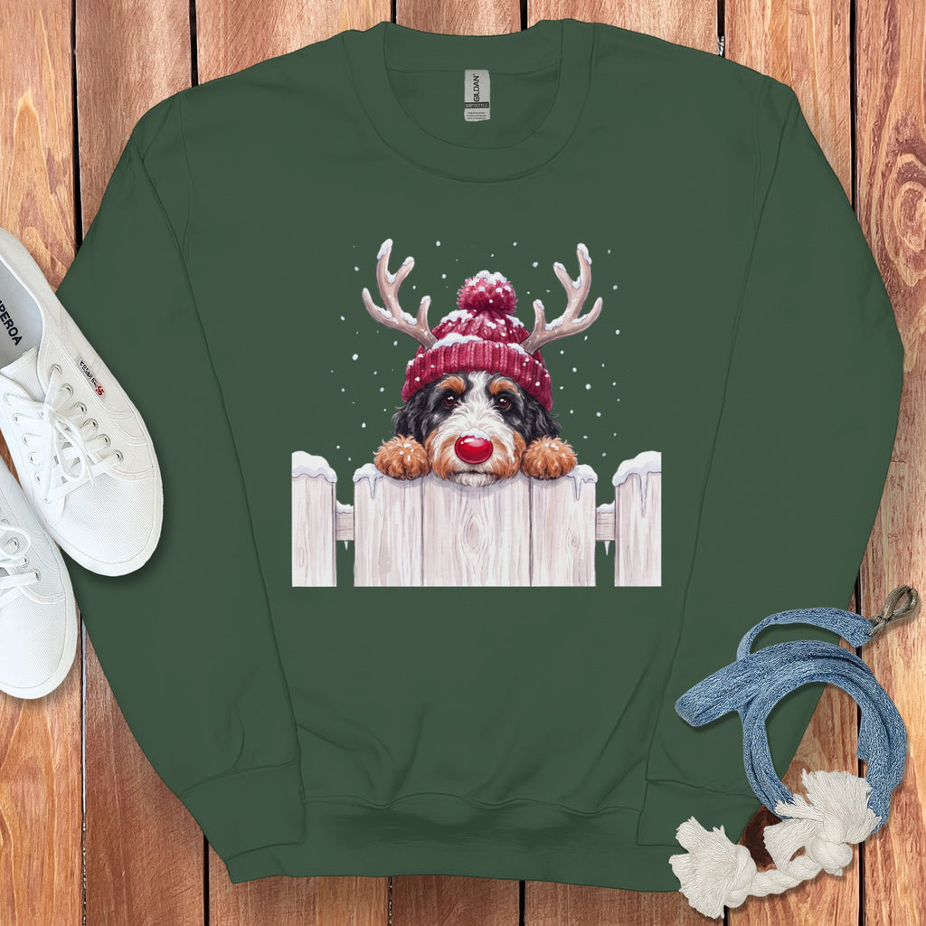 Bernese Mountain Dog wearing reindeer antlers and red hat peeking over fence.