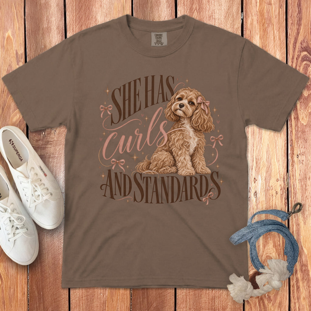 Brown t-shirt featuring a cartoon dog illustration and the text She Has Curls and Standards, laid on wood.