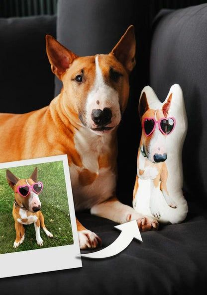 Custom Pet Pillow From Photo