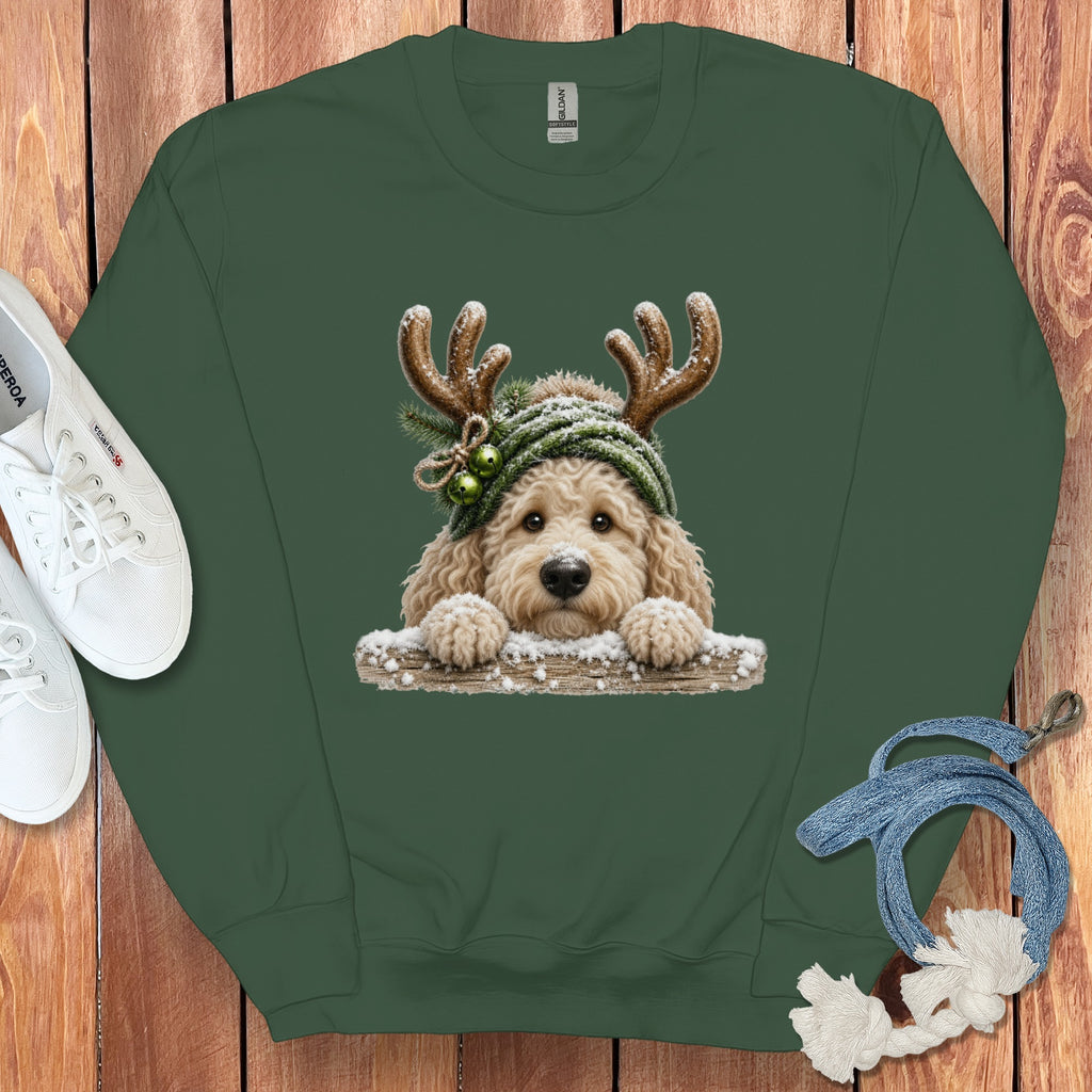 Dark green sweatshirt with a doodle dog wearing antlers and a hat.