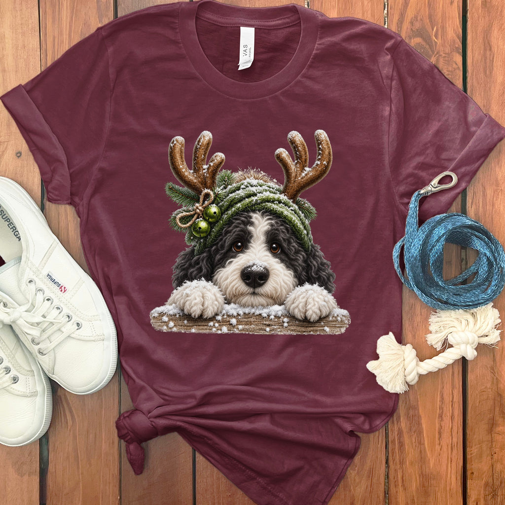 Bernedoodle dog wearing antlers and Santa hat with snow on wooden background.