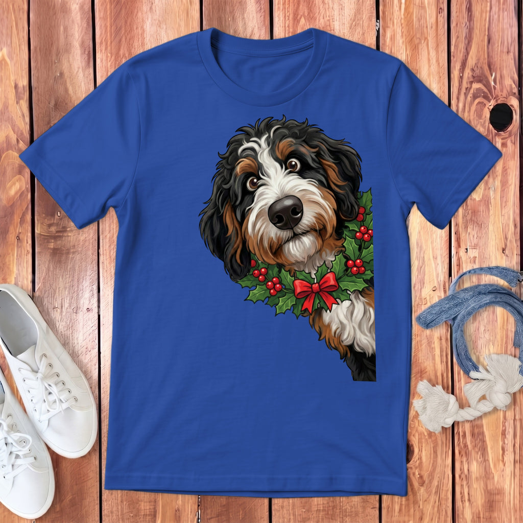 Bernese Mountain Dog wearing a holly wreath with red bow on royal blue t-shirt.