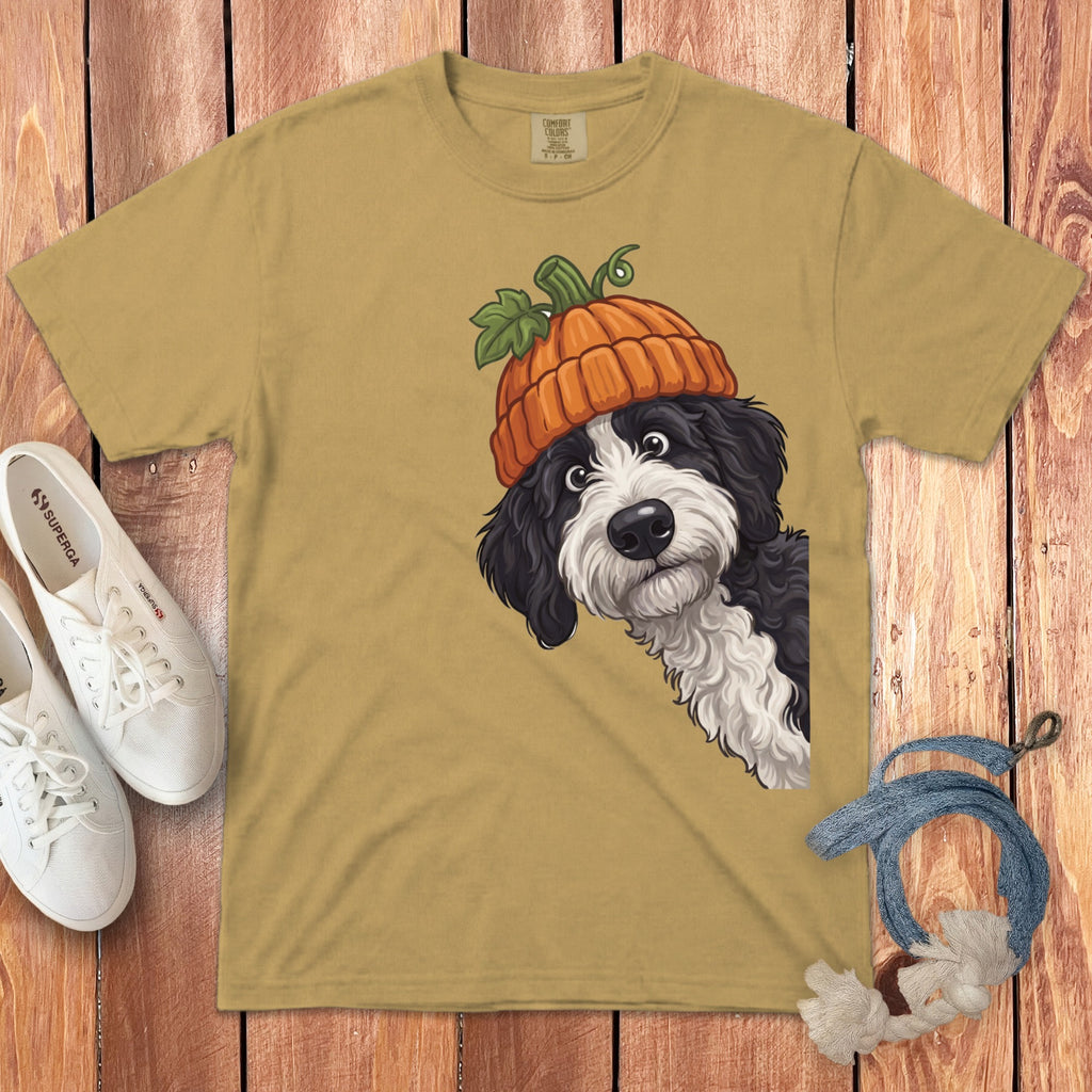 tan t-shirt with black and white dog wearing a pumpkin hat illustration