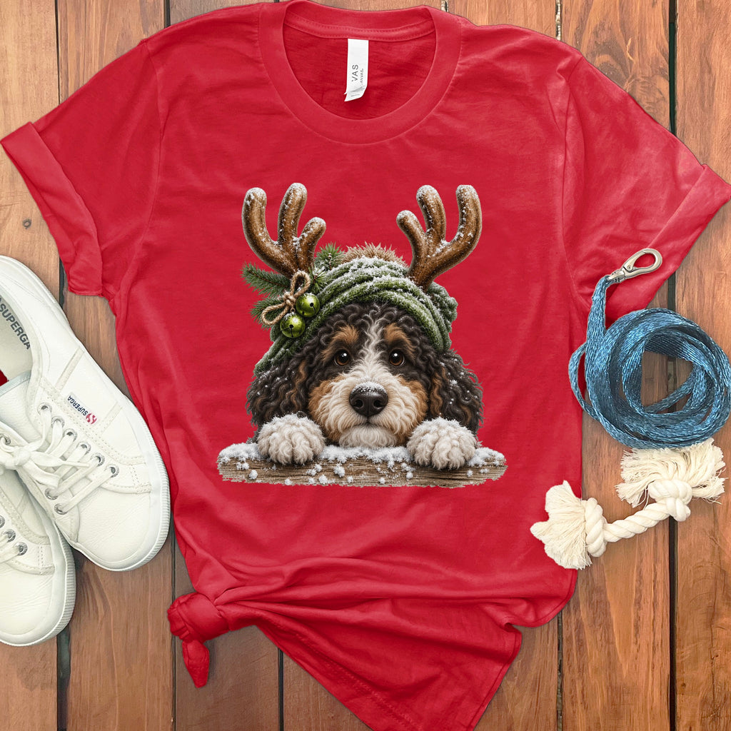 Red t-shirt with Christmas dog wearing antlers and green beanie, white sneakers, blue leash.