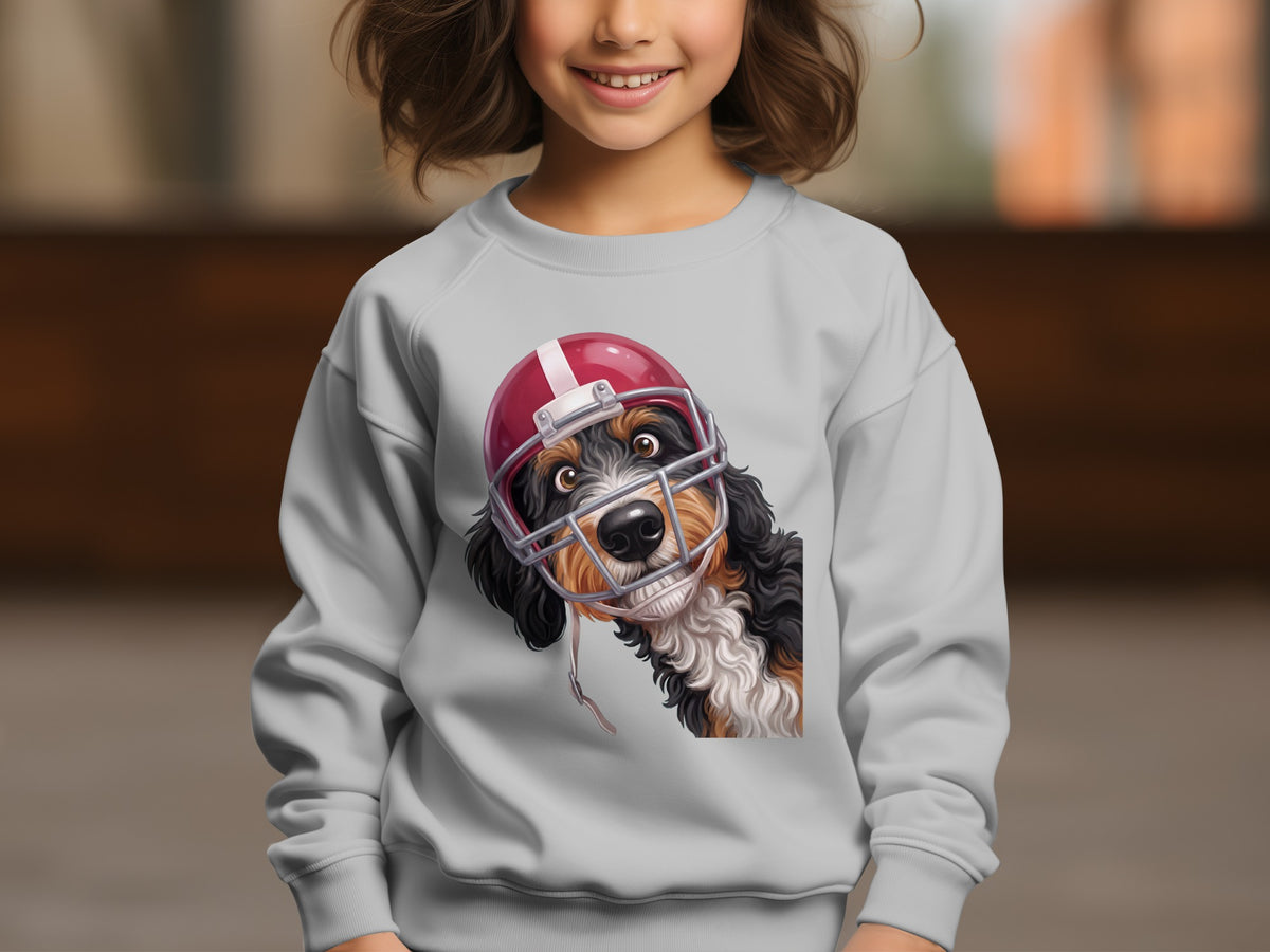 Bernese Mountain Dog wearing a red football helmet, front view on a sweatshirt.