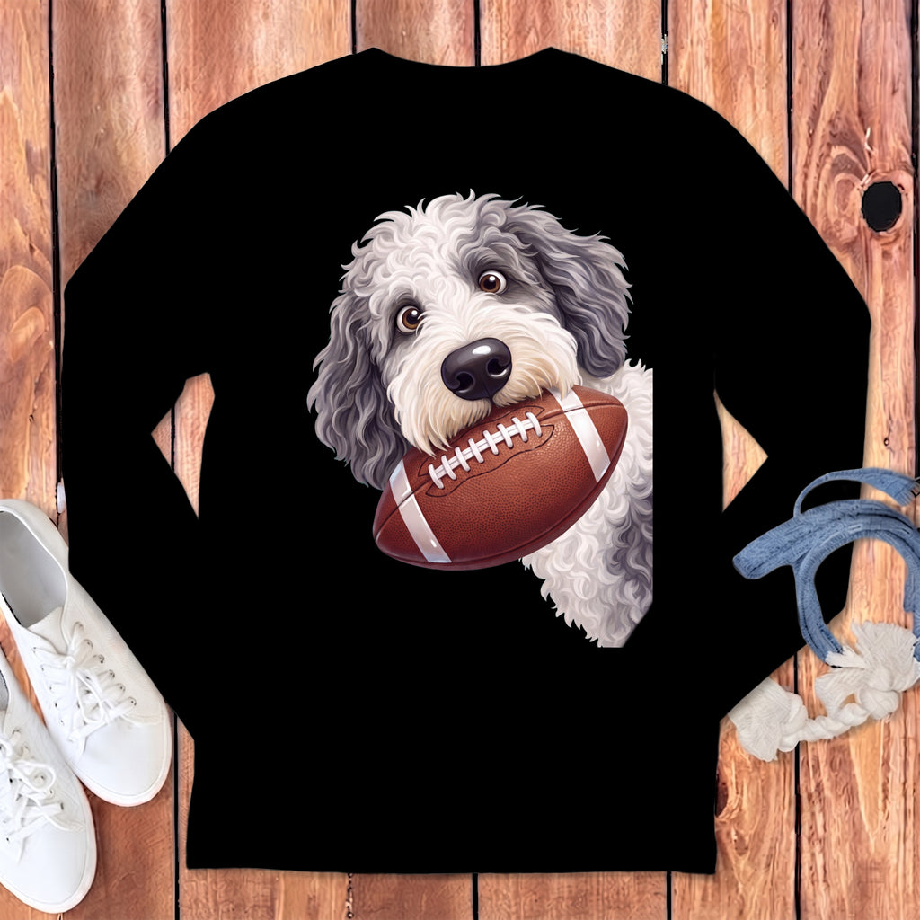 Fluffy dog with surprised eyes holds a brown football in its mouth.