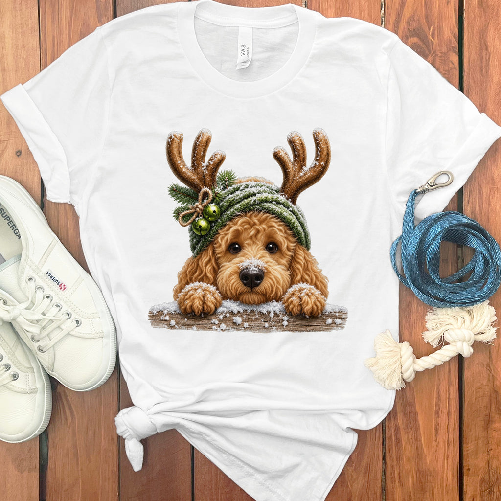 Goldendoodle wearing a green Santa hat with reindeer antlers, snow, and bells.