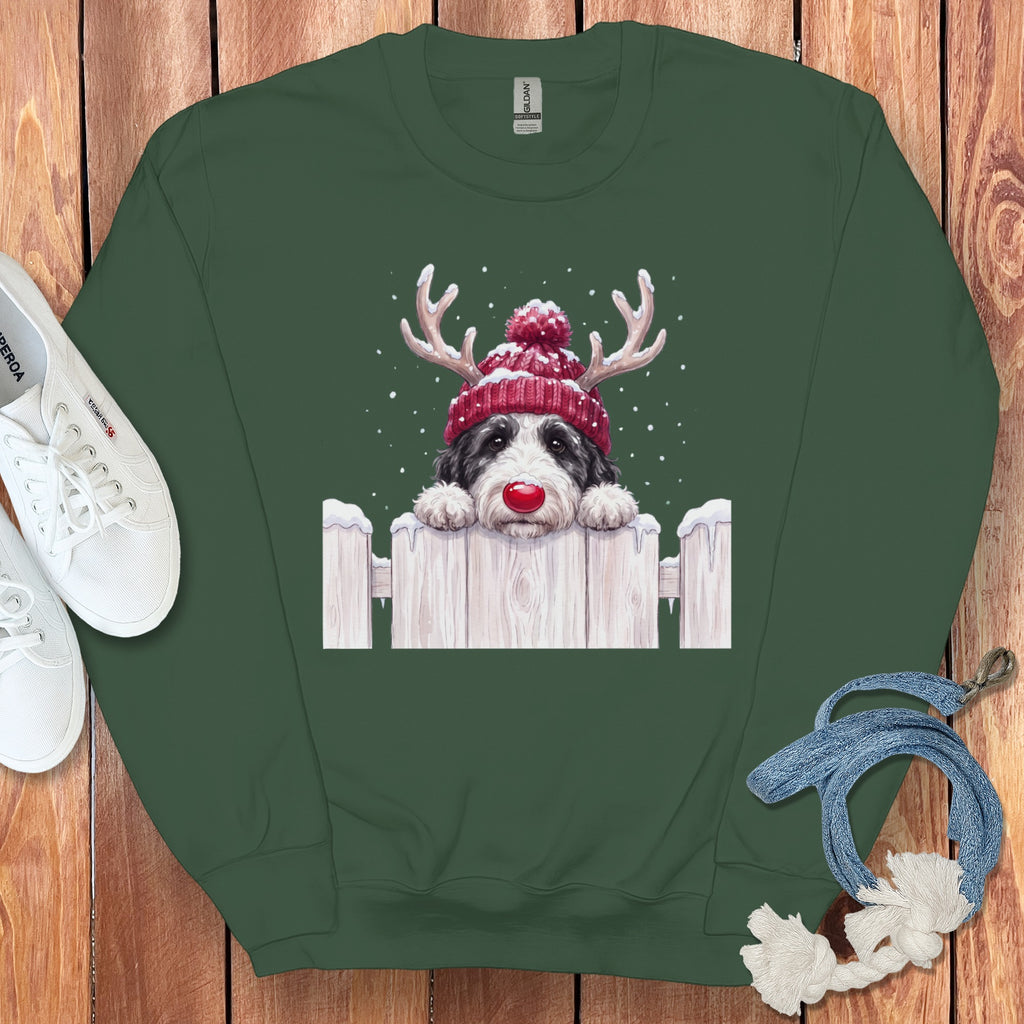 Bernedoodle dog wearing a red beanie and reindeer antlers peeking over a fence.