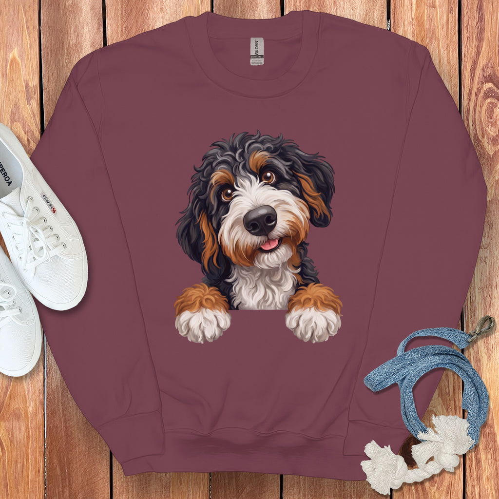 Burgundy sweatshirt with a Bernese Mountain Dog graphic and white Superga sneakers.