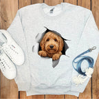 Adorable Dog Face Ripped Through Sweatshirt Design