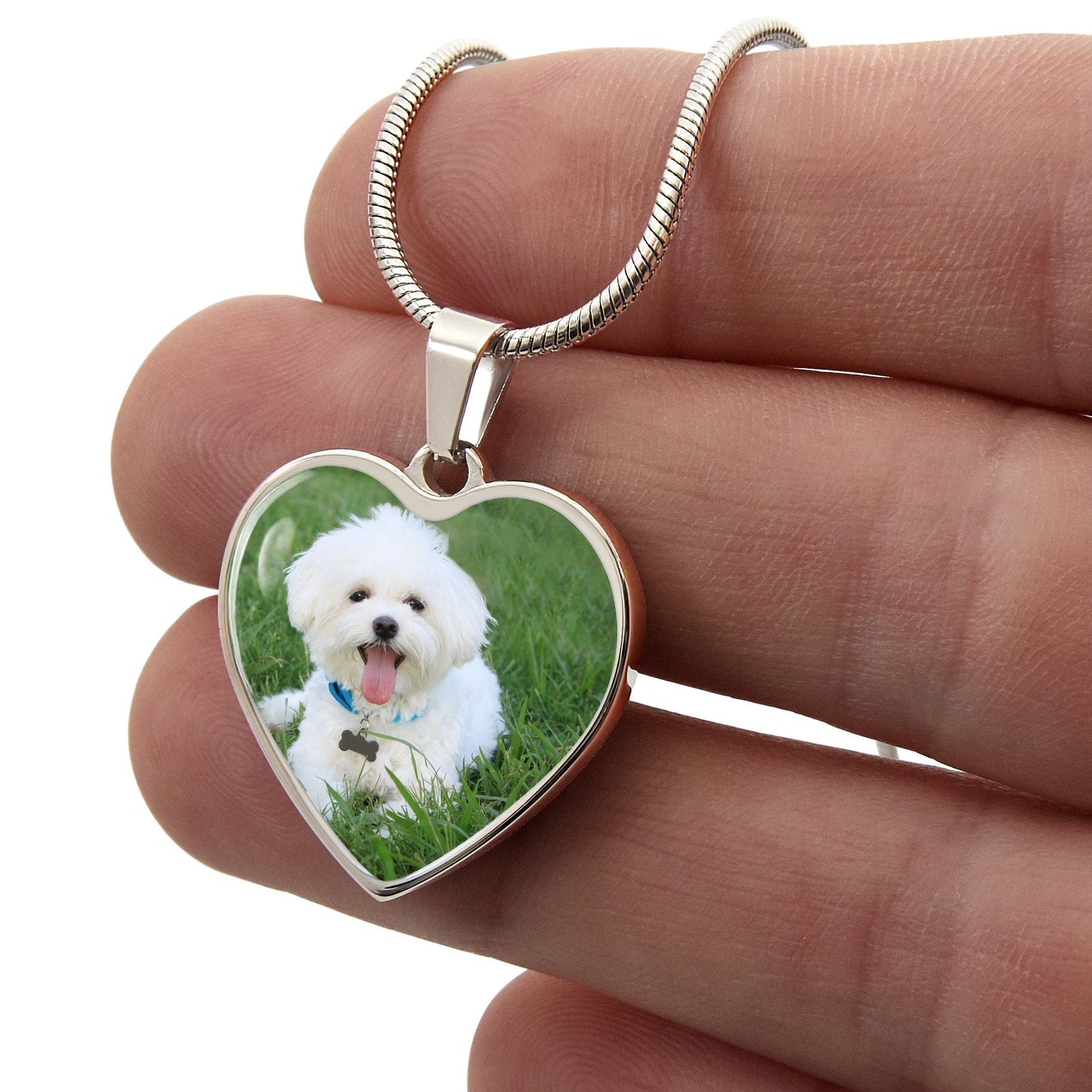 PET PHOTO NECKLACE