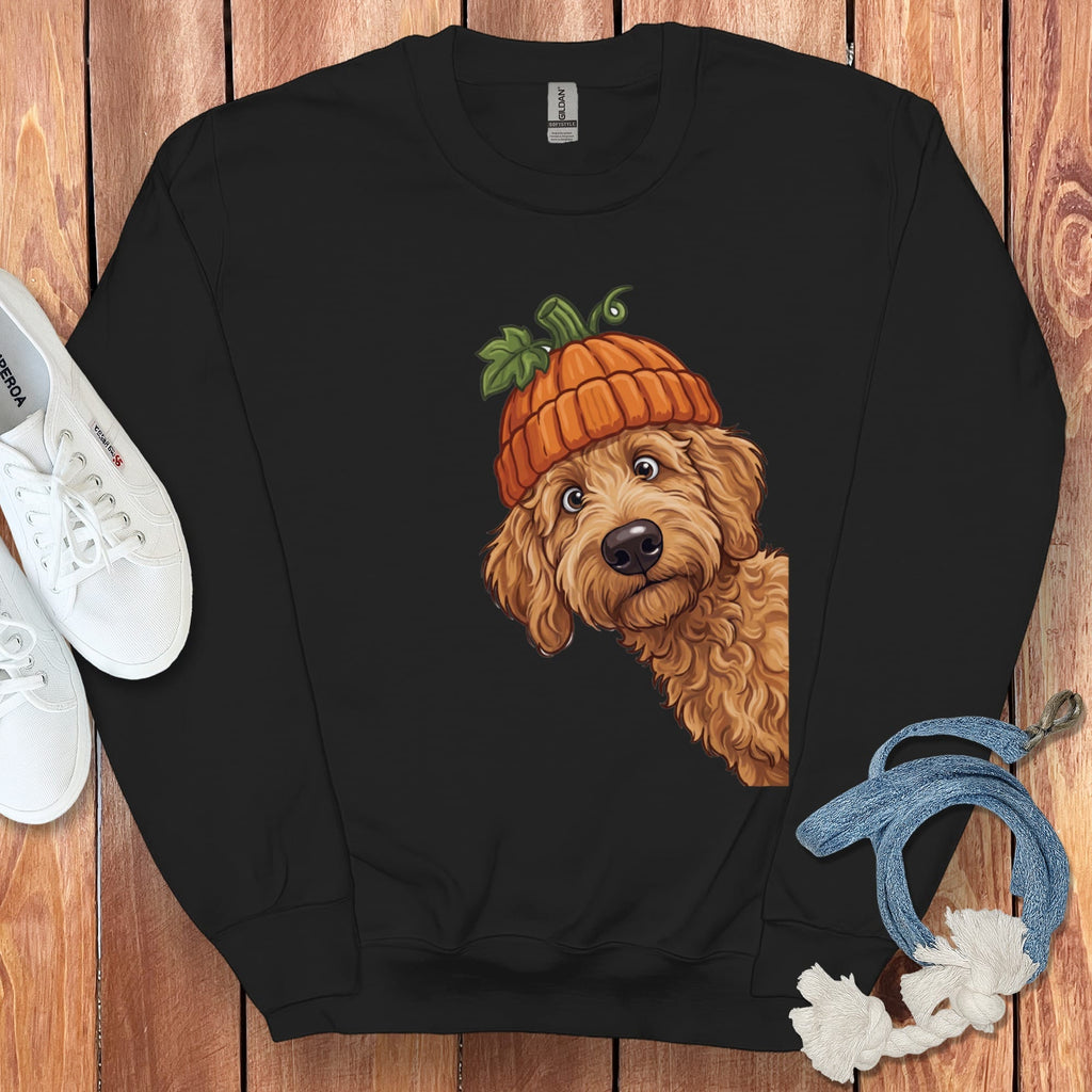 Lil Pumpkin Apricot Goldendoodle Sweatshirt in Black / S by Puppy Jo
