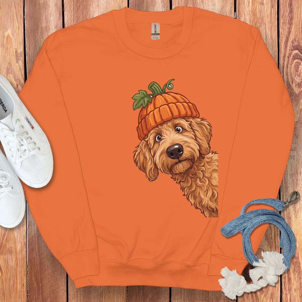 Lil Pumpkin Apricot Goldendoodle Sweatshirt in Orange / M by Puppy Jo