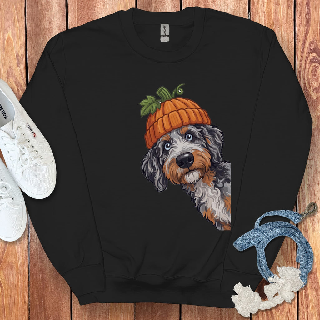 Lil Pumpkin Aussiedoodle Sweatshirt in Black / S by Puppy Jo