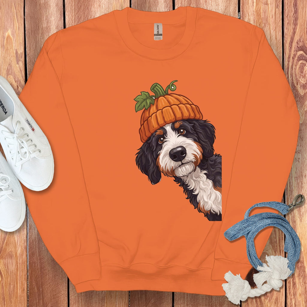 Lil Pumpkin Bernedoodle Sweatshirt in Orange / M by Puppy Jo