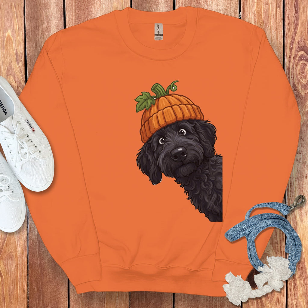 Lil Pumpkin Black Goldendoodle Sweatshirt in Orange / M by Puppy Jo