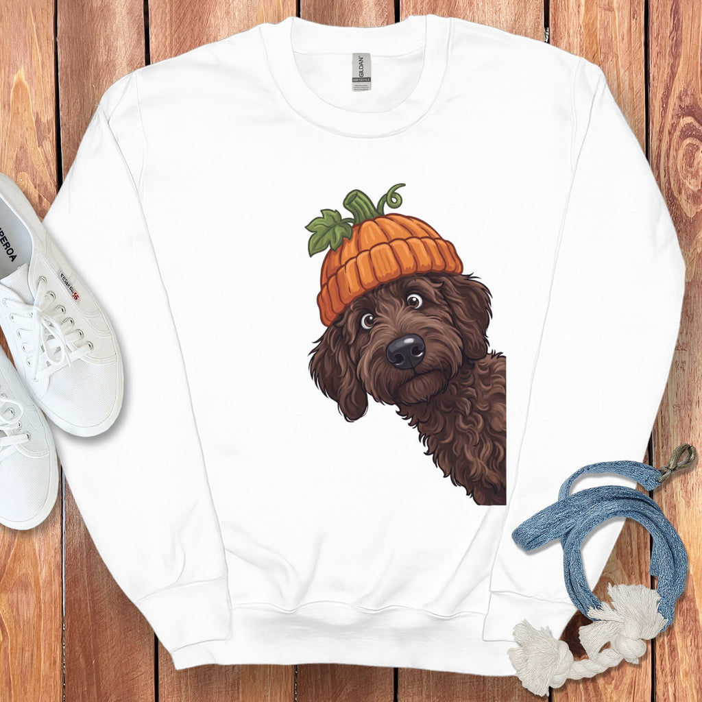Lil Pumpkin Chocolate Goldnedoodle Sweatshirt in White / S by Puppy Jo
