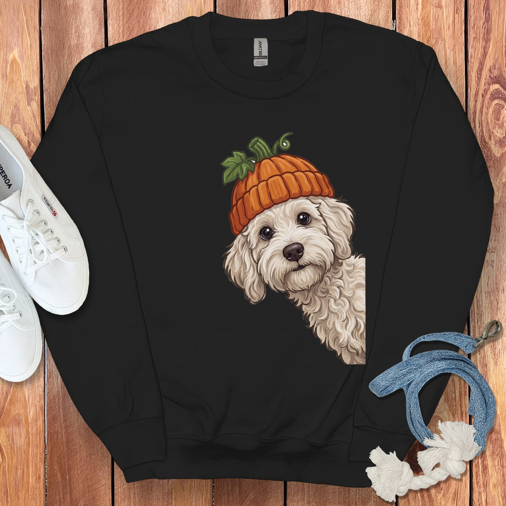 Lil Pumpkin Maltipoo Sweatshirt in Black / S by Puppy Jo