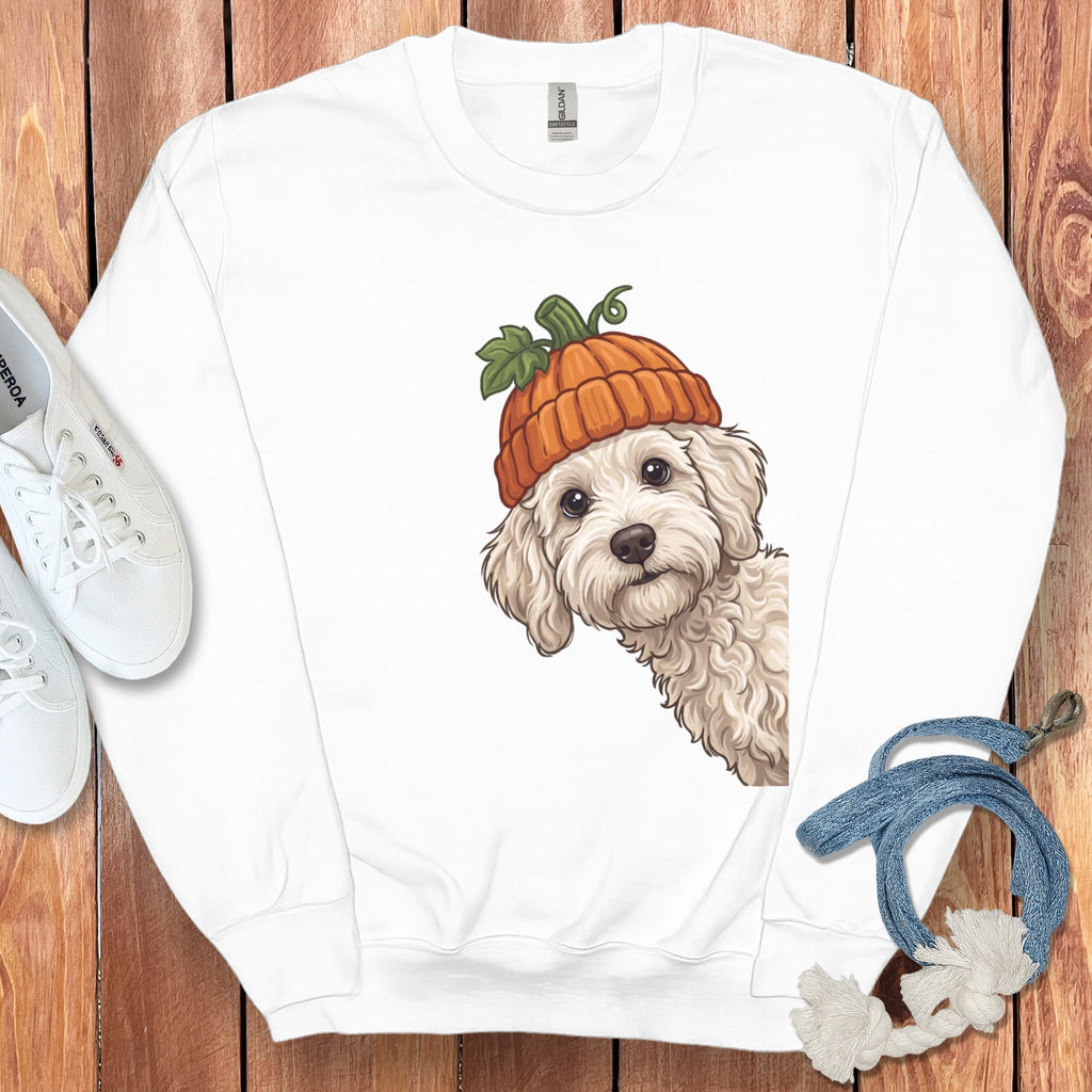 Lil Pumpkin Maltipoo Sweatshirt in White / S by Puppy Jo