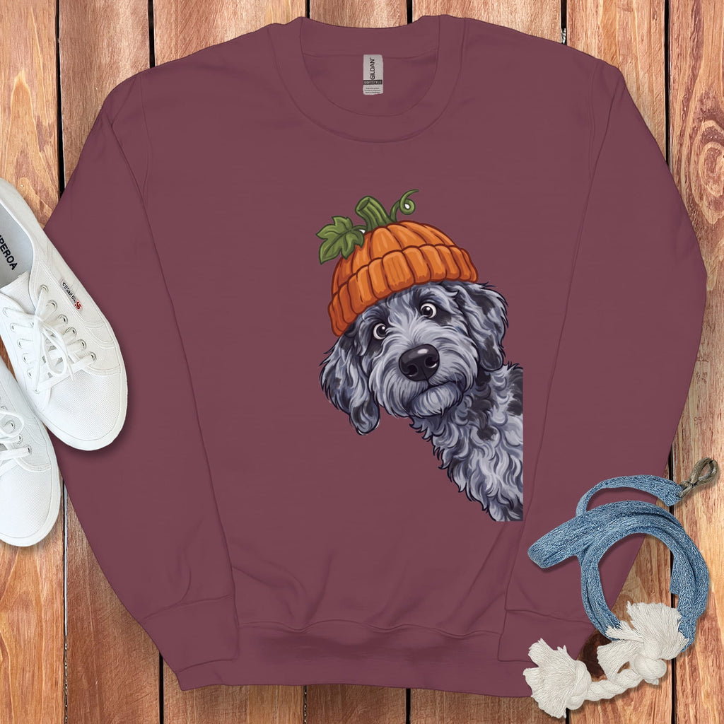 Lil Pumpkin Merle Goldendoodle Sweatshirt in Maroon / S by Puppy Jo