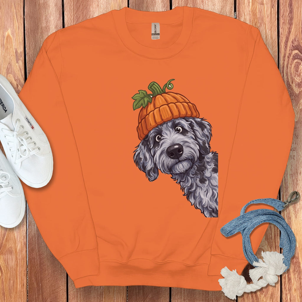 Lil Pumpkin Merle Goldendoodle Sweatshirt in Orange / M by Puppy Jo