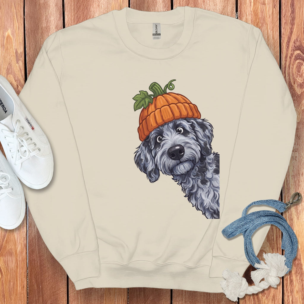 Lil Pumpkin Merle Goldendoodle Sweatshirt in Sand / S by Puppy Jo