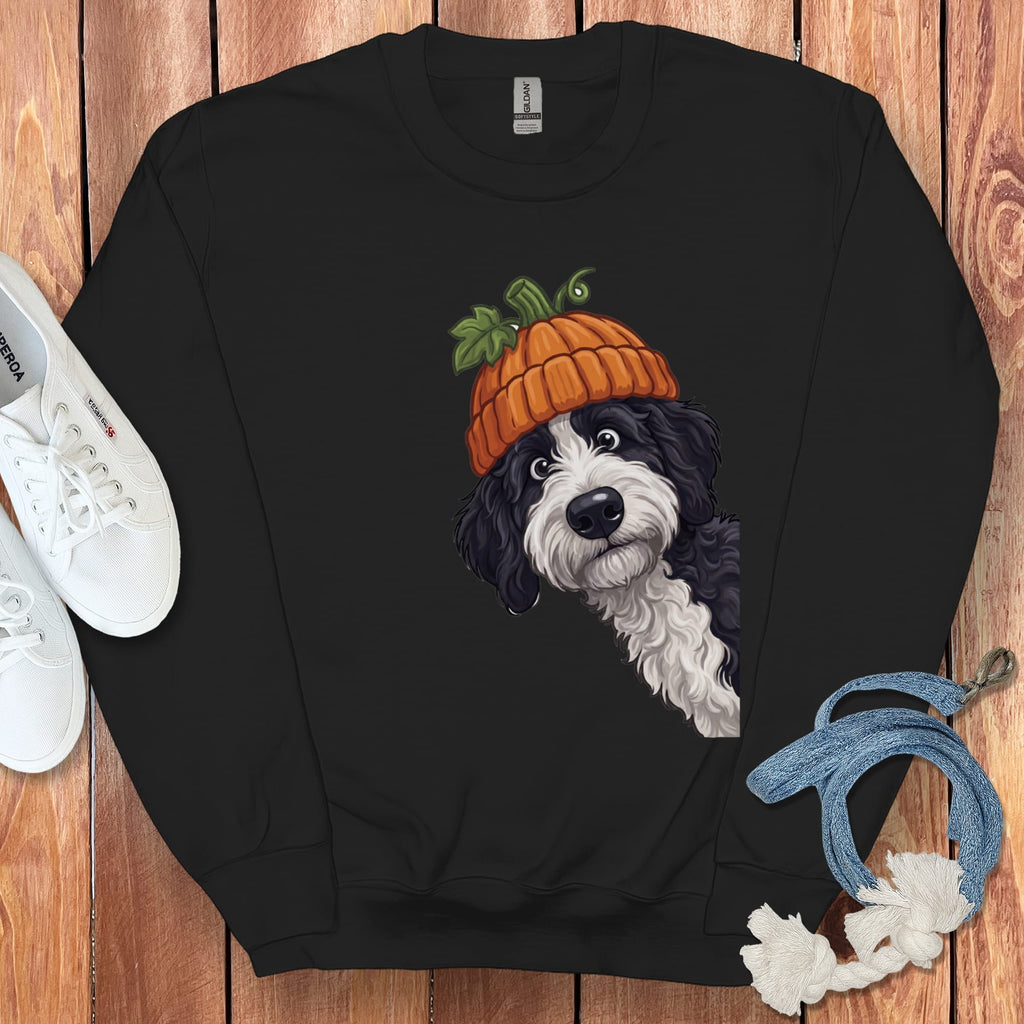 Lil Pumpkin Sheepadoodle Sweatshirt in Black / S by Puppy Jo