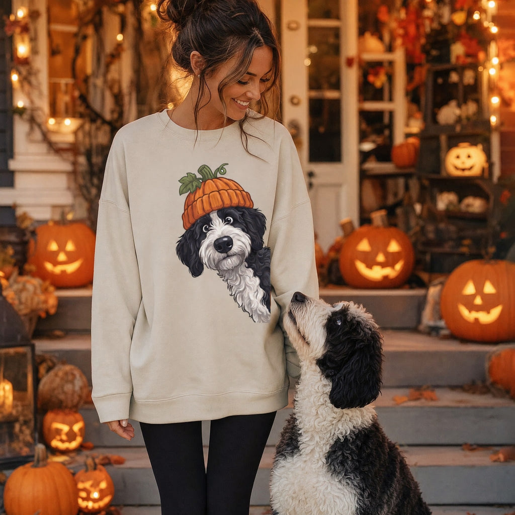 Lil Pumpkin Sheepadoodle Sweatshirt in by Puppy Jo
