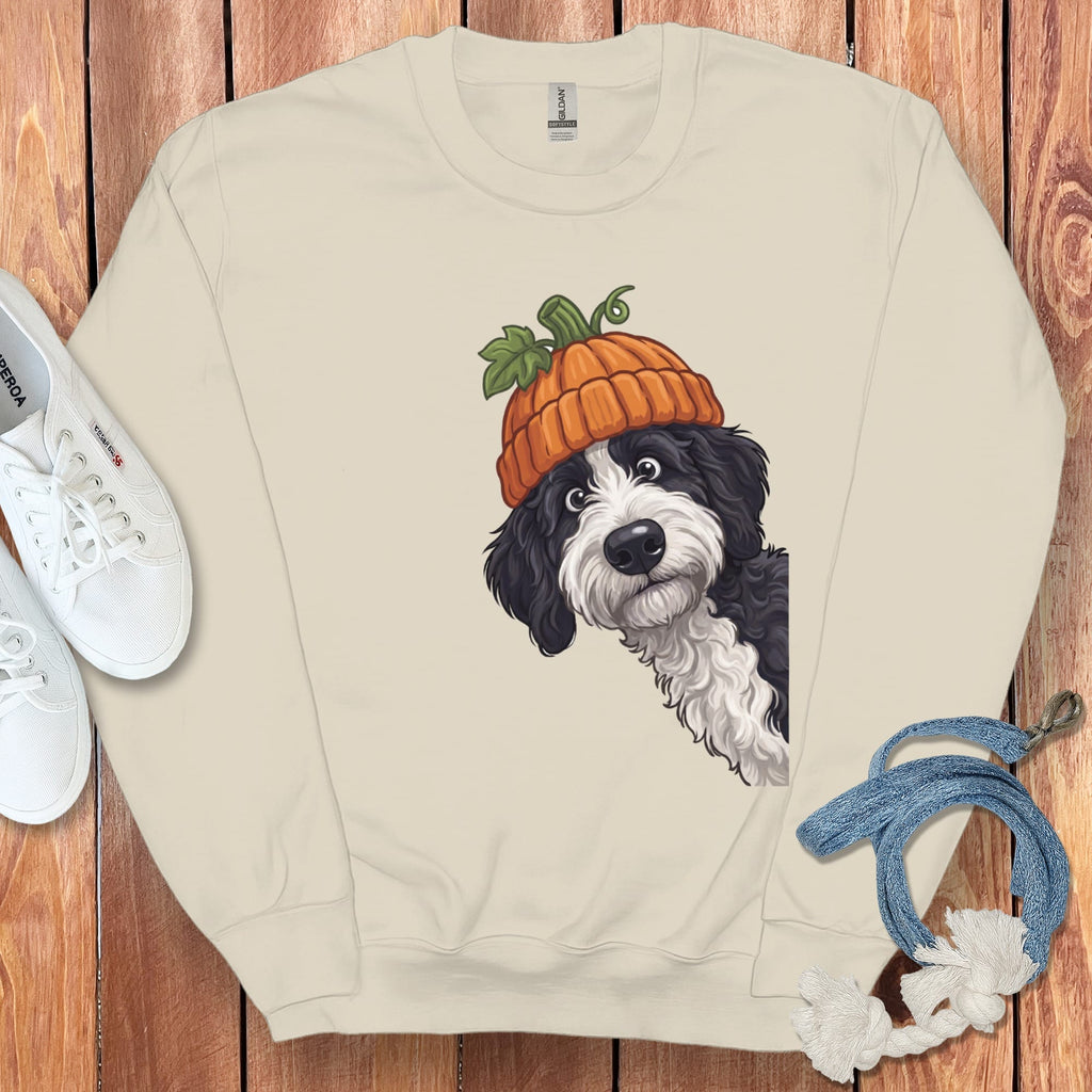 Lil Pumpkin Sheepadoodle Sweatshirt in Sand / S by Puppy Jo