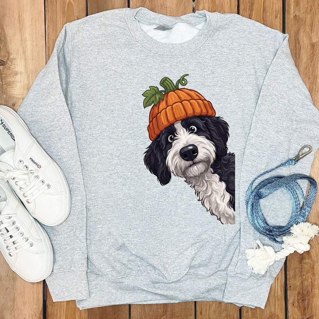 Lil Pumpkin Sheepadoodle Sweatshirt in Sport Grey / S by Puppy Jo