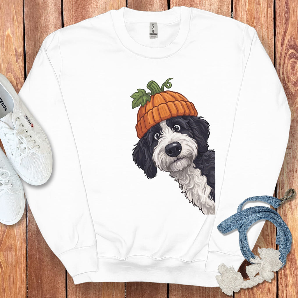 Lil Pumpkin Sheepadoodle Sweatshirt in White / S by Puppy Jo