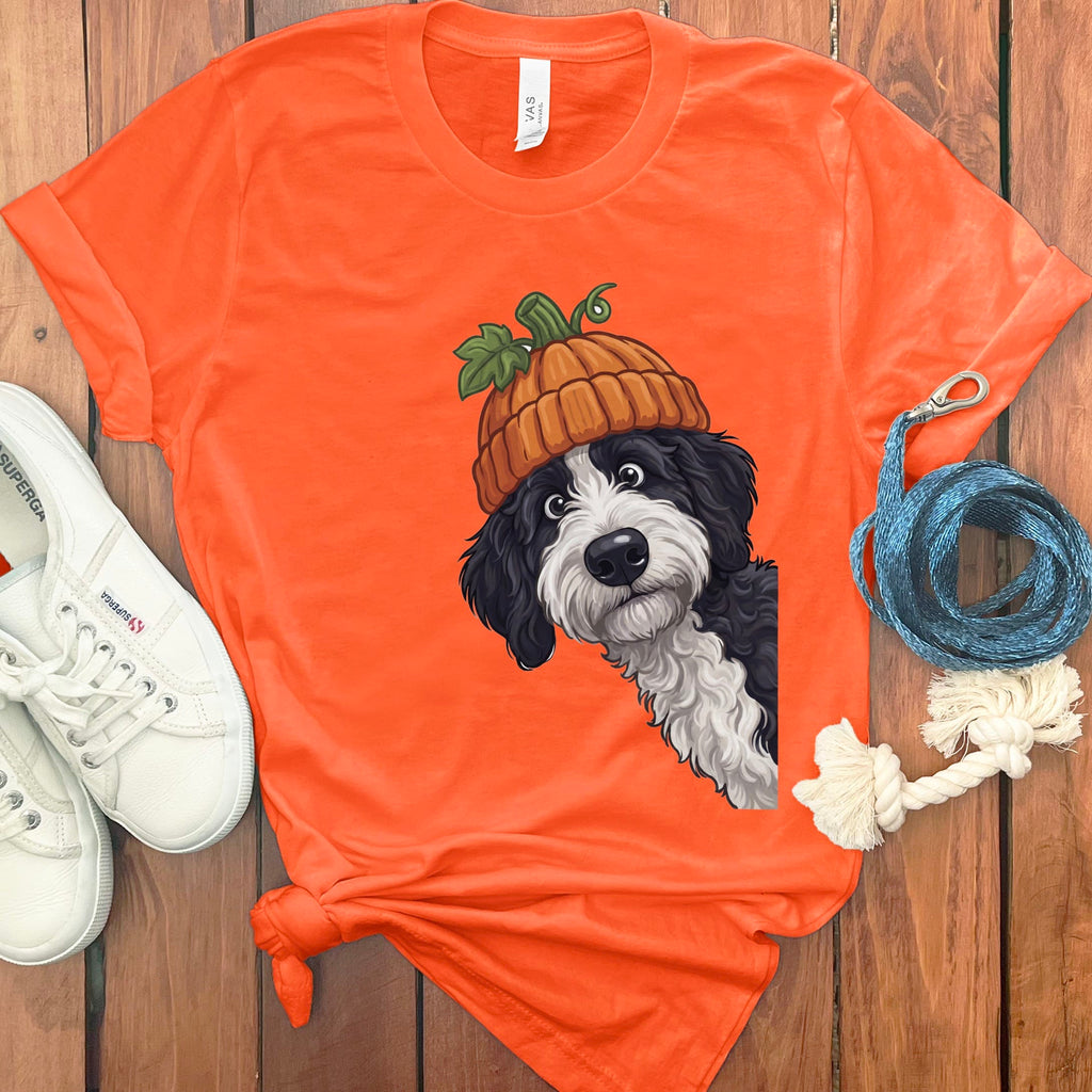 Lil Pumpkin Sheepadoodle T-Shirt in Orange / S by Puppy Jo