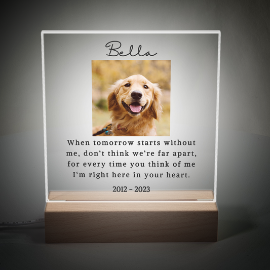 Personalized Pet Memorial Plaque with Optional Night Light - A Heartfelt Tribute to Cherished Companions