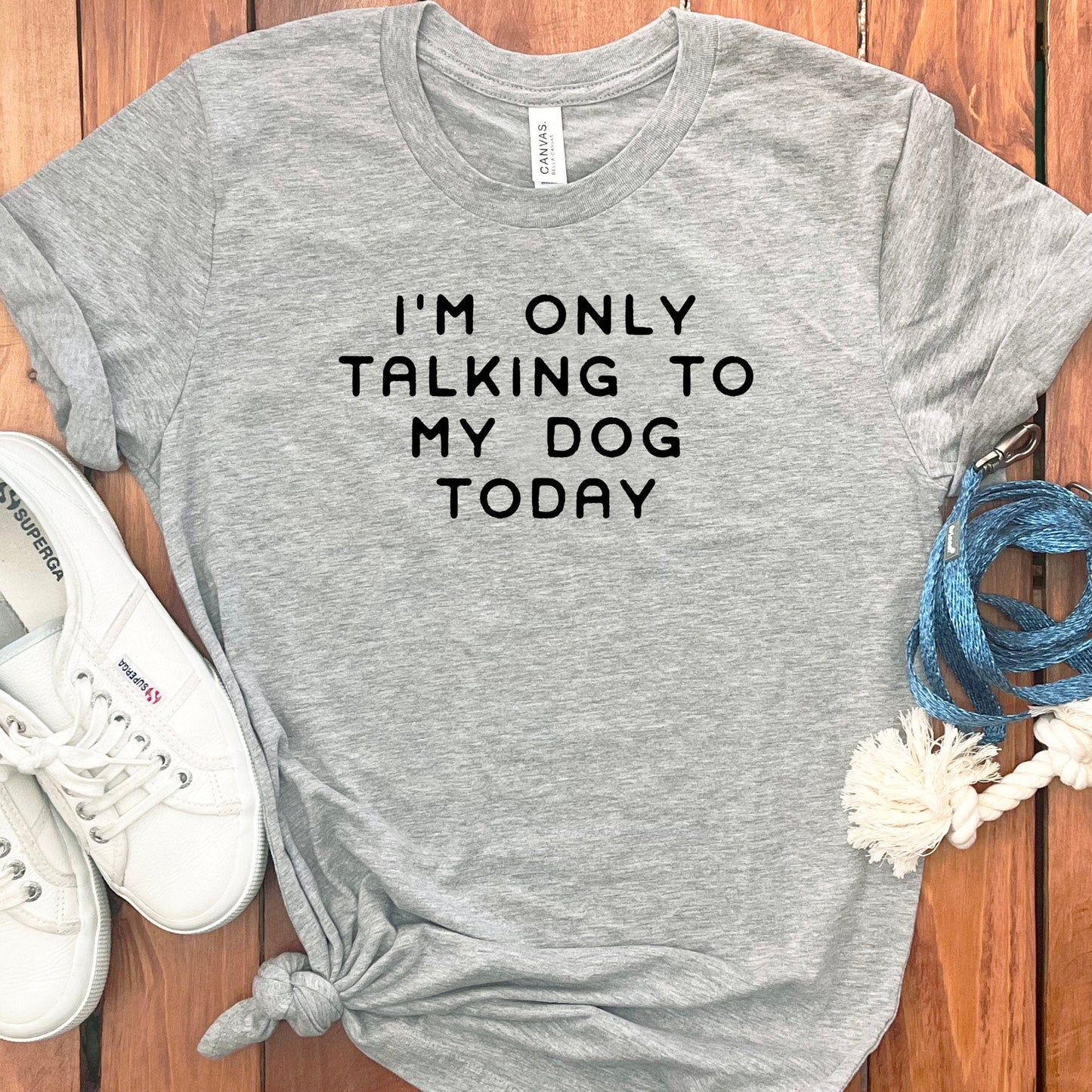 Funny Graphic Tee I'm Only Talking to My Dog Today product type