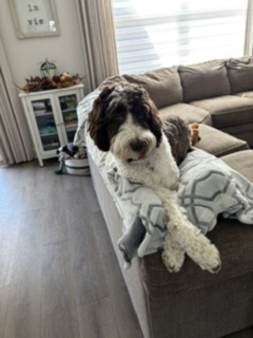 Puppy Jo doodle
