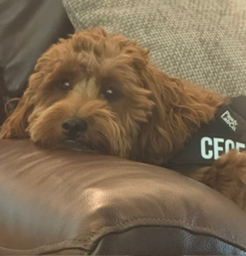CeCe