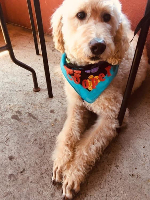 Cooper