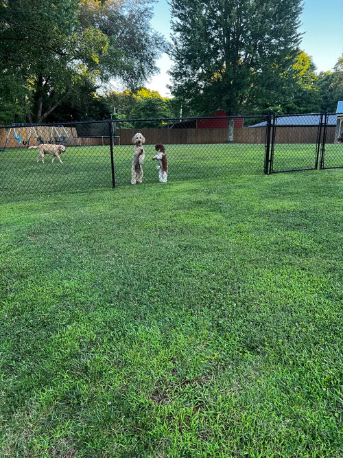 Cooper & Milli