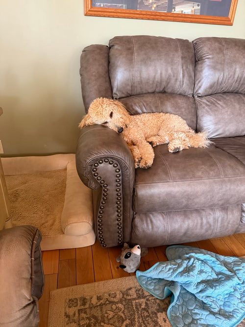 Cooper & Milli