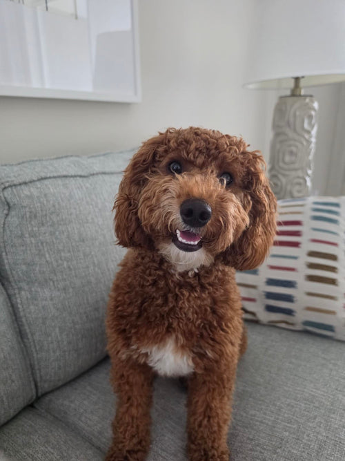 Finley