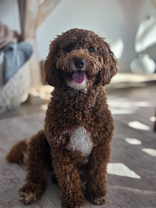 Finley Marie