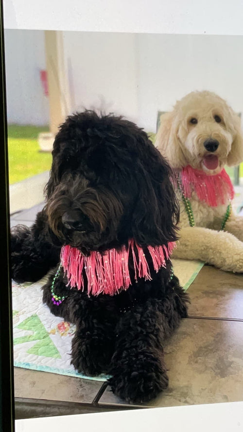 Lola & Sophie