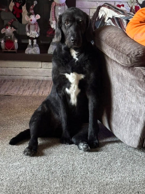 Lucy