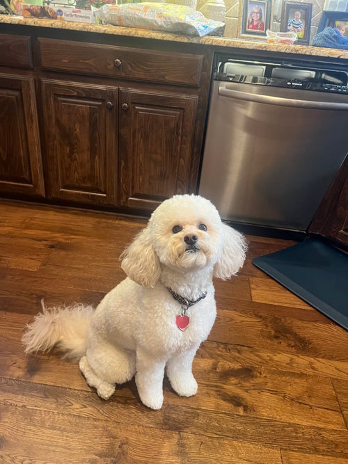 Macy