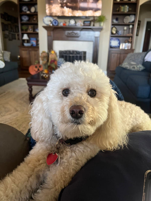 Macy