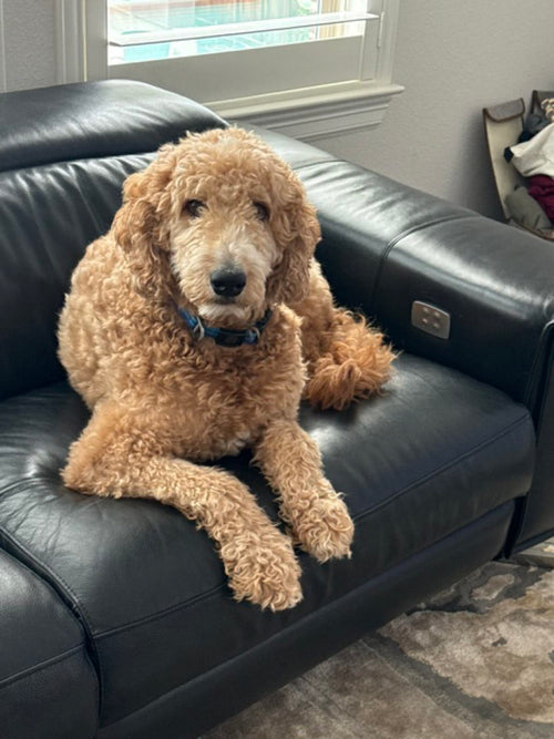 Milo