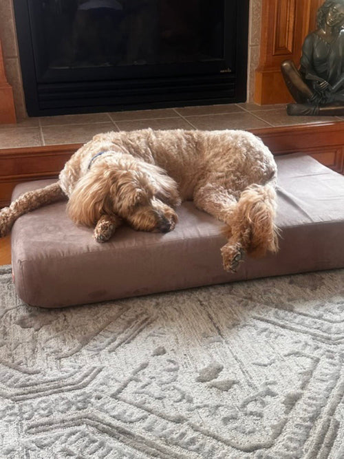 Murphy