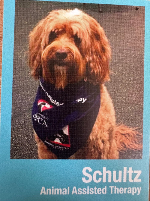 Schultz