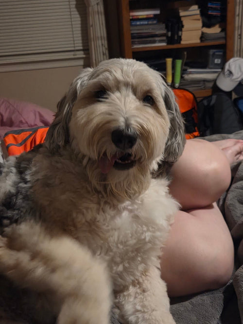 Wally & Linus