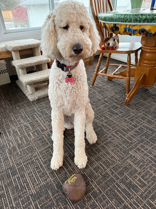Winnie